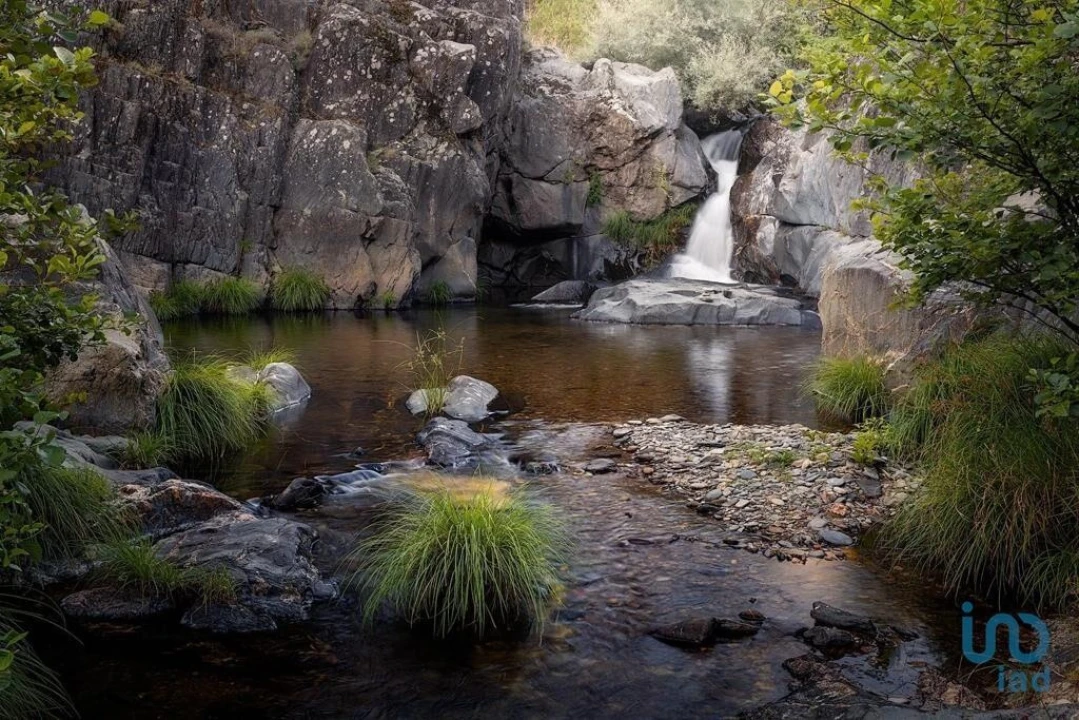 Moradia T1 para Venda em Sobreira Formosa e Alvito da Beira Foto 6