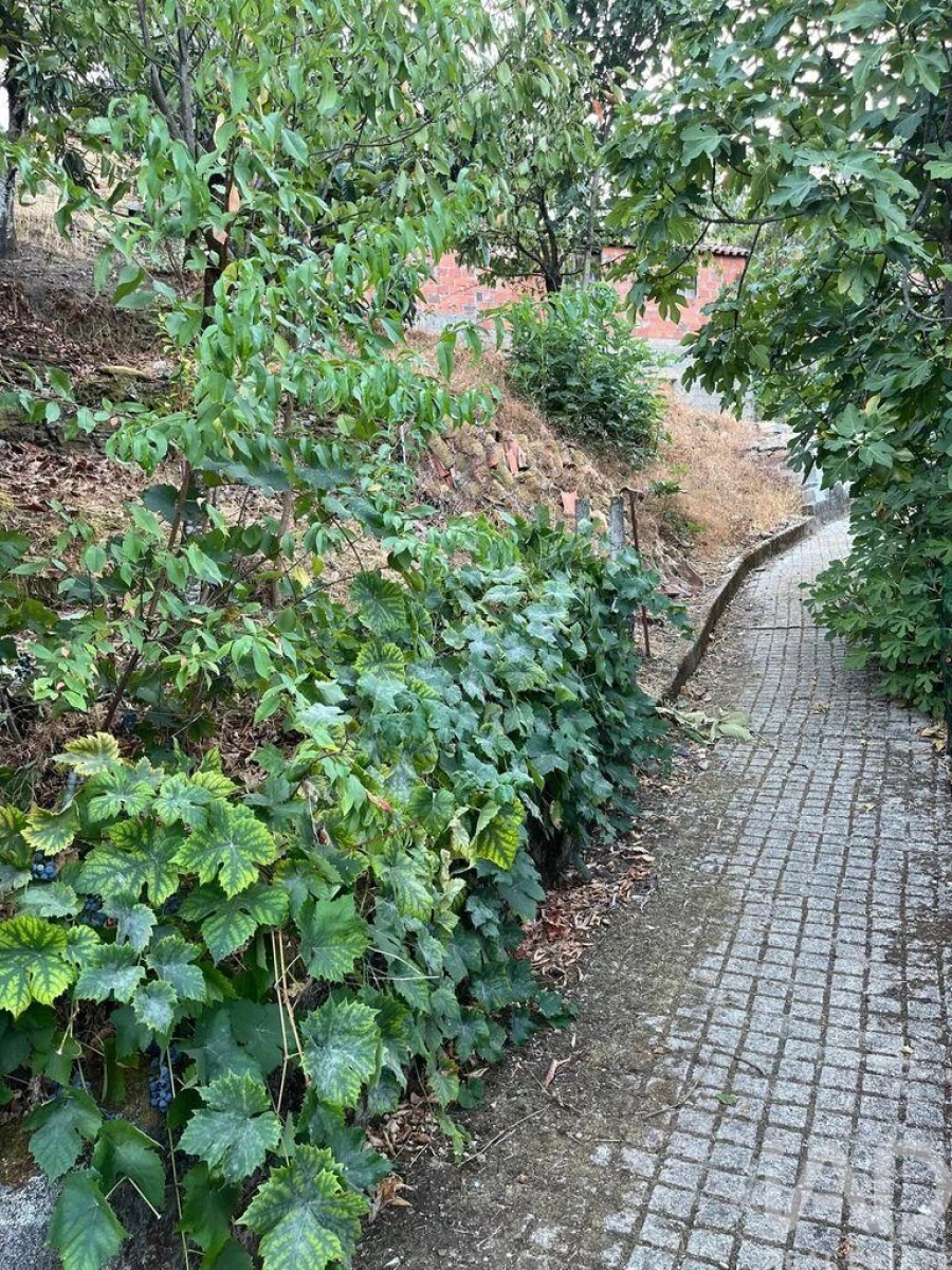 Moradia T1 para Venda em Sobreira Formosa e Alvito da Beira Foto 25