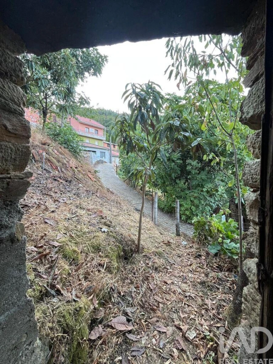 Moradia T1 para Venda em Sobreira Formosa e Alvito da Beira Foto 16