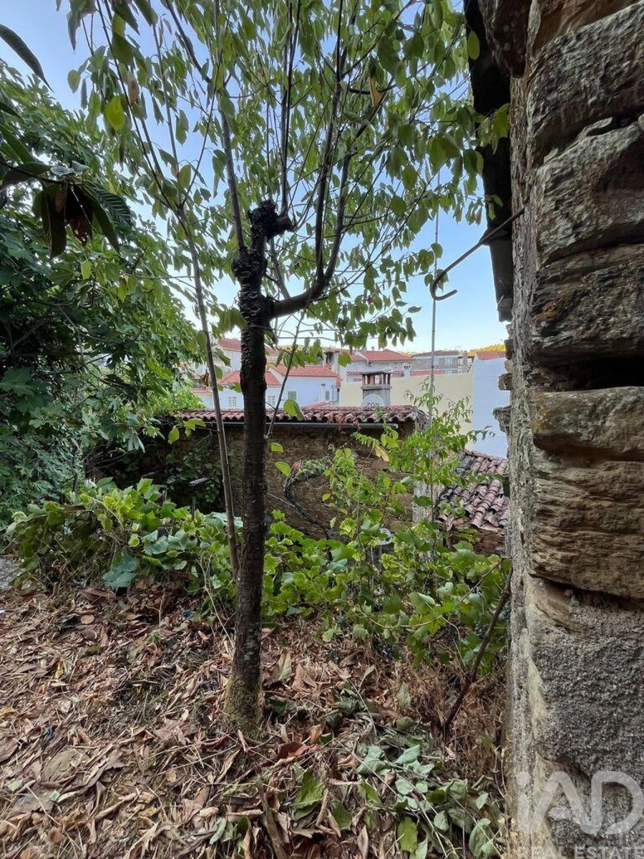 Moradia T1 para Venda em Sobreira Formosa e Alvito da Beira Foto 19