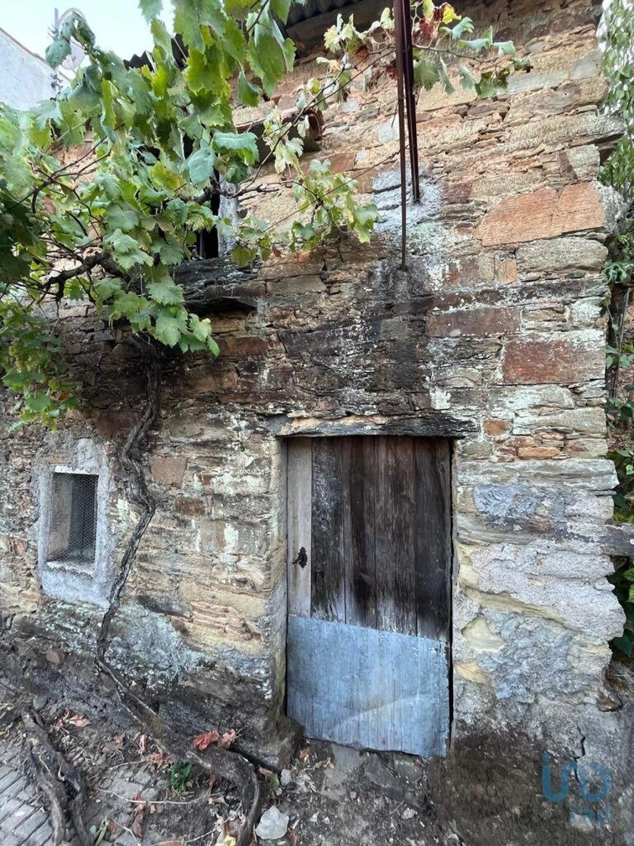 Moradia T1 para Venda em Sobreira Formosa e Alvito da Beira Foto 2