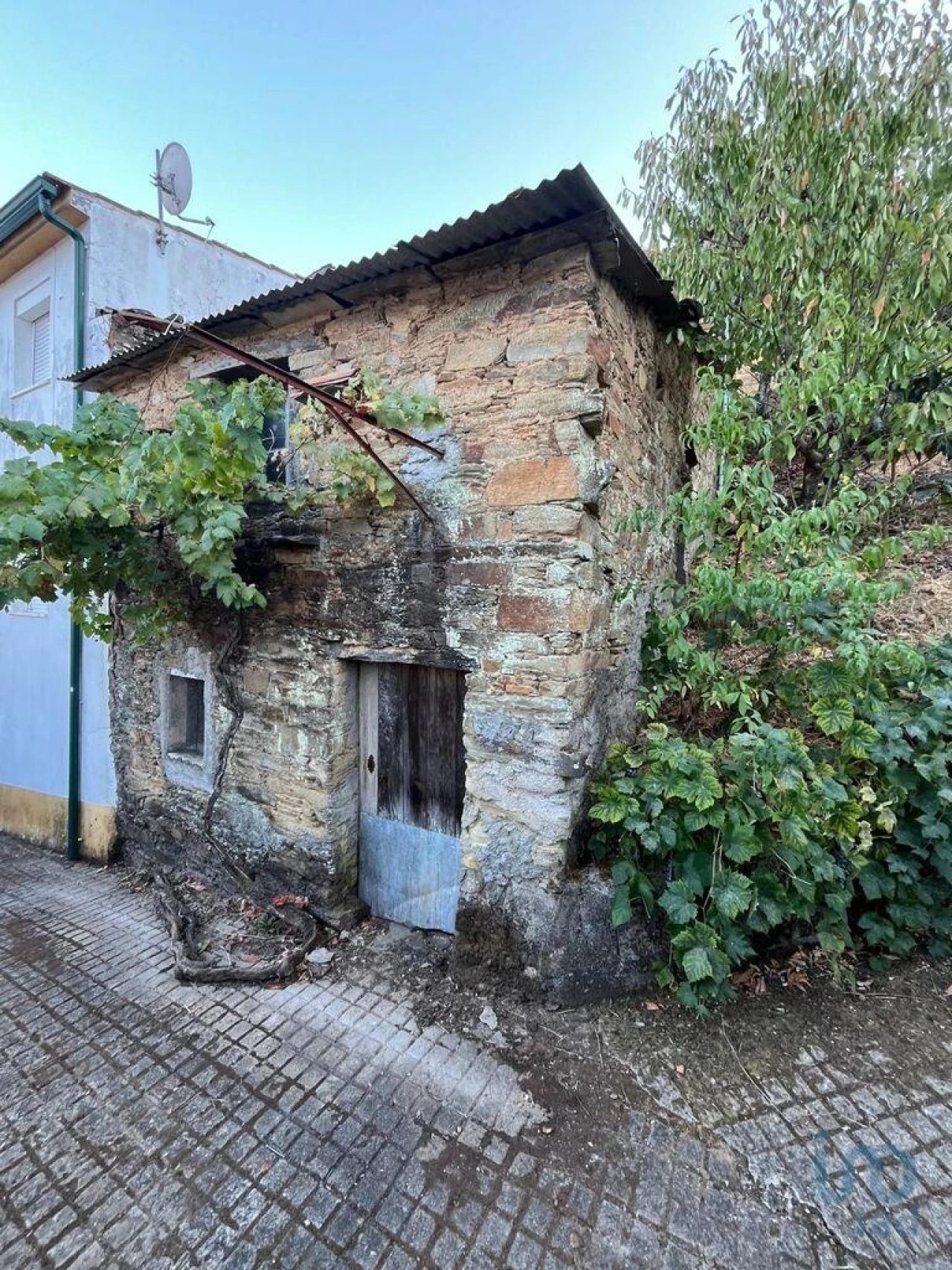 Moradia T1 para Venda em Sobreira Formosa e Alvito da Beira Foto 13