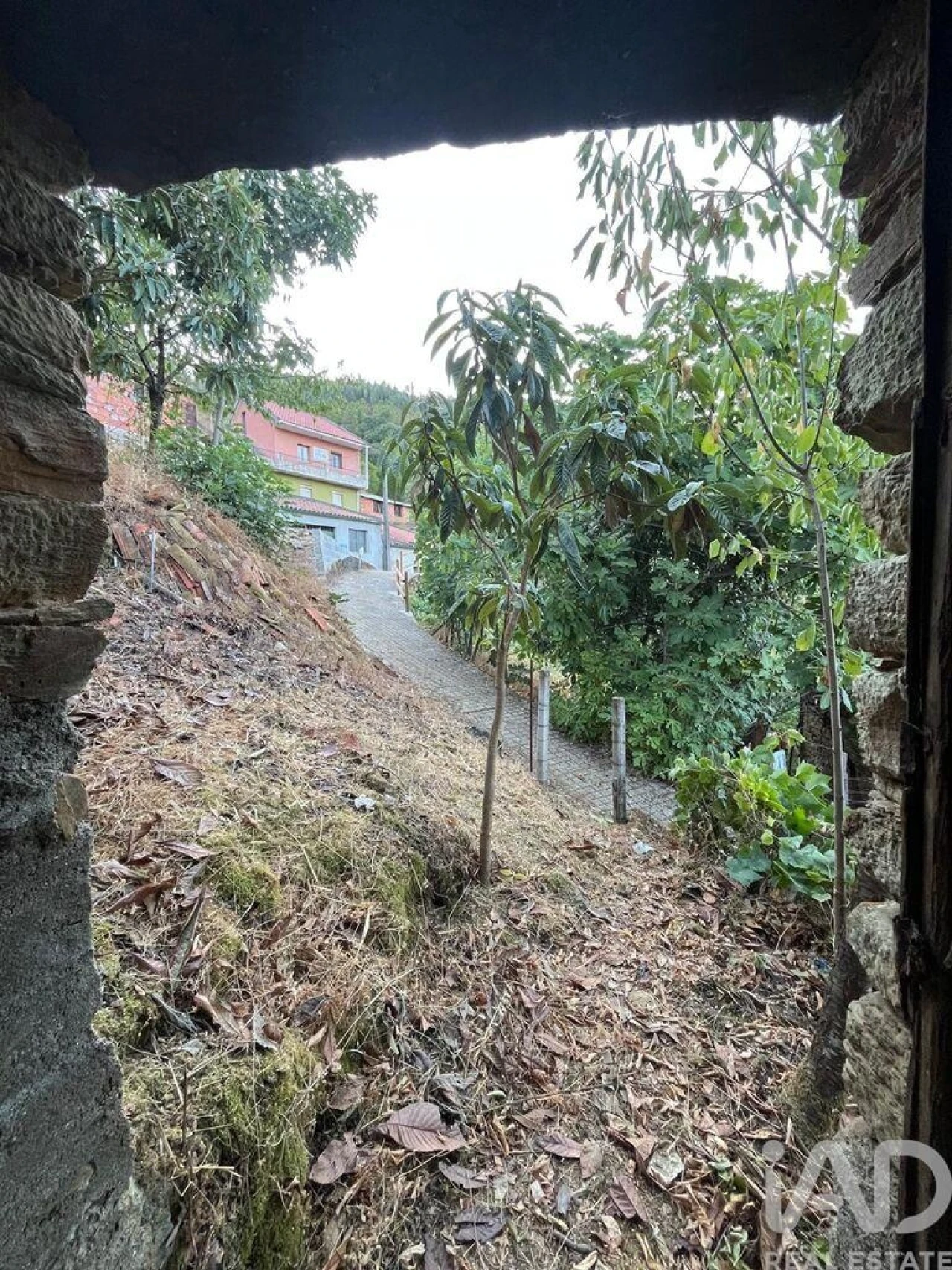 Moradia T1 para Venda em Sobreira Formosa e Alvito da Beira Foto 16