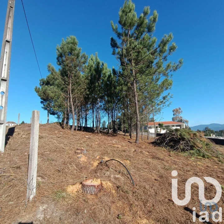 Terreno para Venda em Reboreda e Nogueira Foto 3