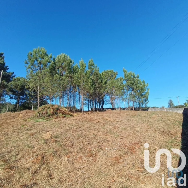 Terreno para Venda em Reboreda e Nogueira Foto 1