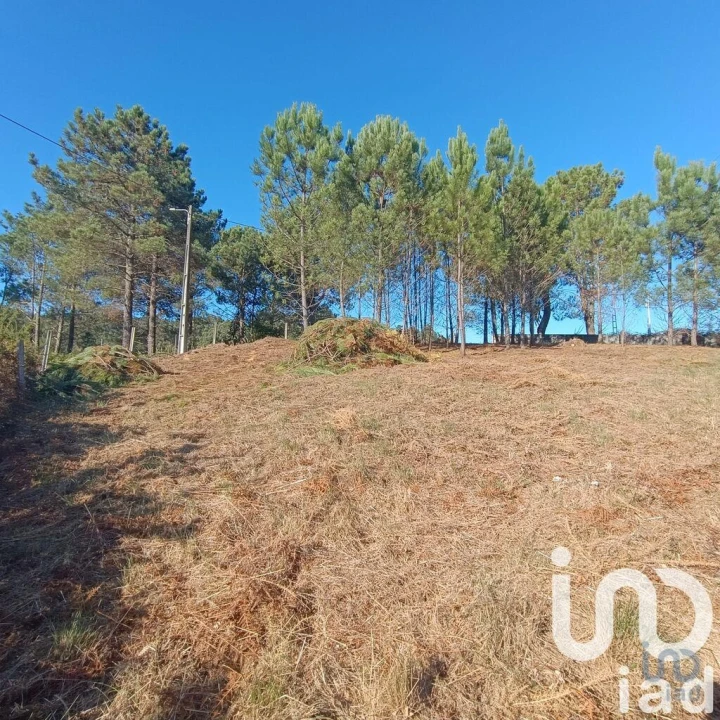 Terreno para Venda em Reboreda e Nogueira Foto 4