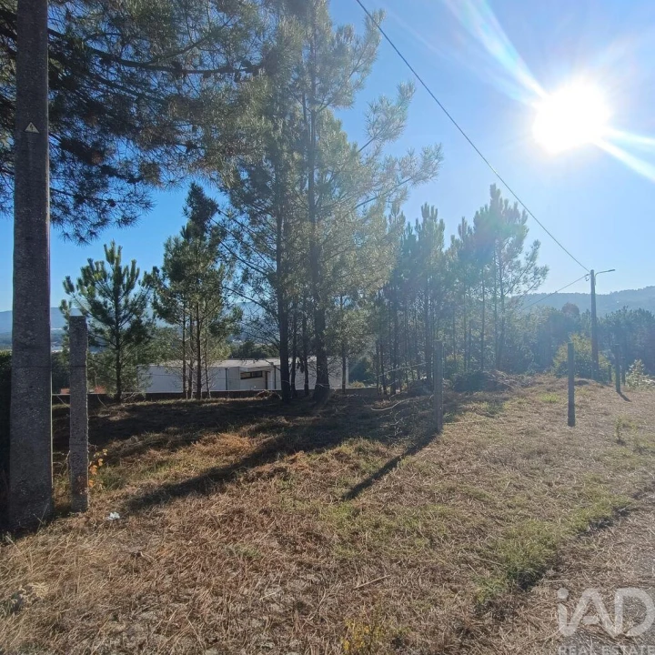 Terreno para Venda em Reboreda e Nogueira Foto 13
