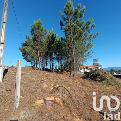 Terreno para Venda em Reboreda e Nogueira Foto 3