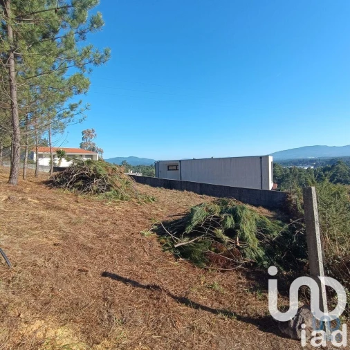 Terreno para Venda em Reboreda e Nogueira Foto 2