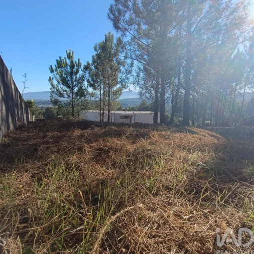 Terreno para Venda em Reboreda e Nogueira Foto 12