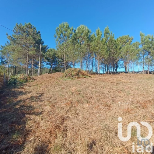 Terreno para Venda em Reboreda e Nogueira Foto 4