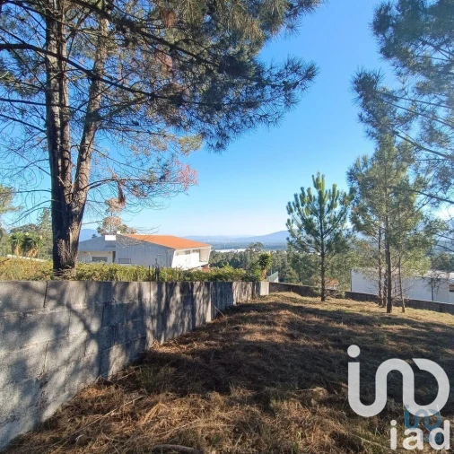 Terreno para Venda em Reboreda e Nogueira Foto 7