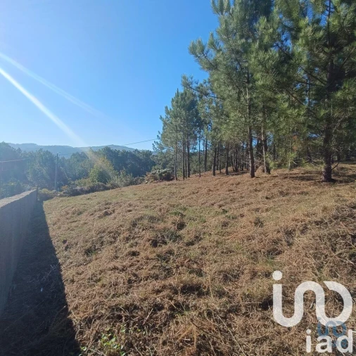 Terreno para Venda em Reboreda e Nogueira Foto 5
