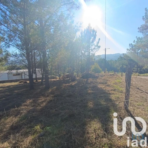 Terreno para Venda em Reboreda e Nogueira Foto 8