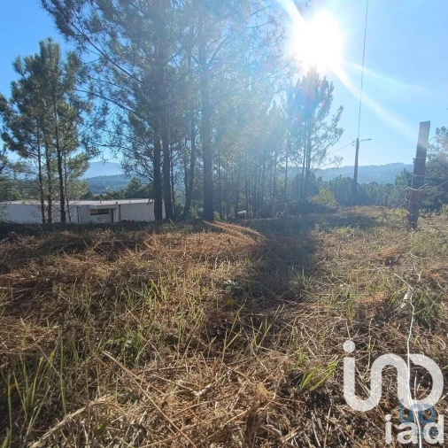 Terreno para Venda em Reboreda e Nogueira Foto 9