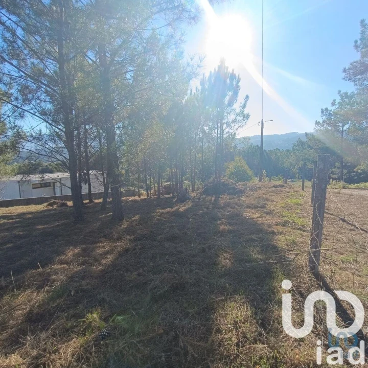 Terreno para Venda em Reboreda e Nogueira Foto 8