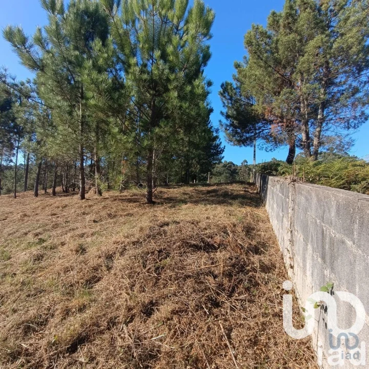 Terreno para Venda em Reboreda e Nogueira Foto 6