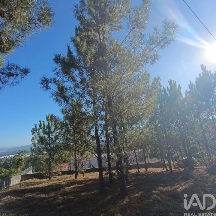 Terreno para Venda em Reboreda e Nogueira Foto 11