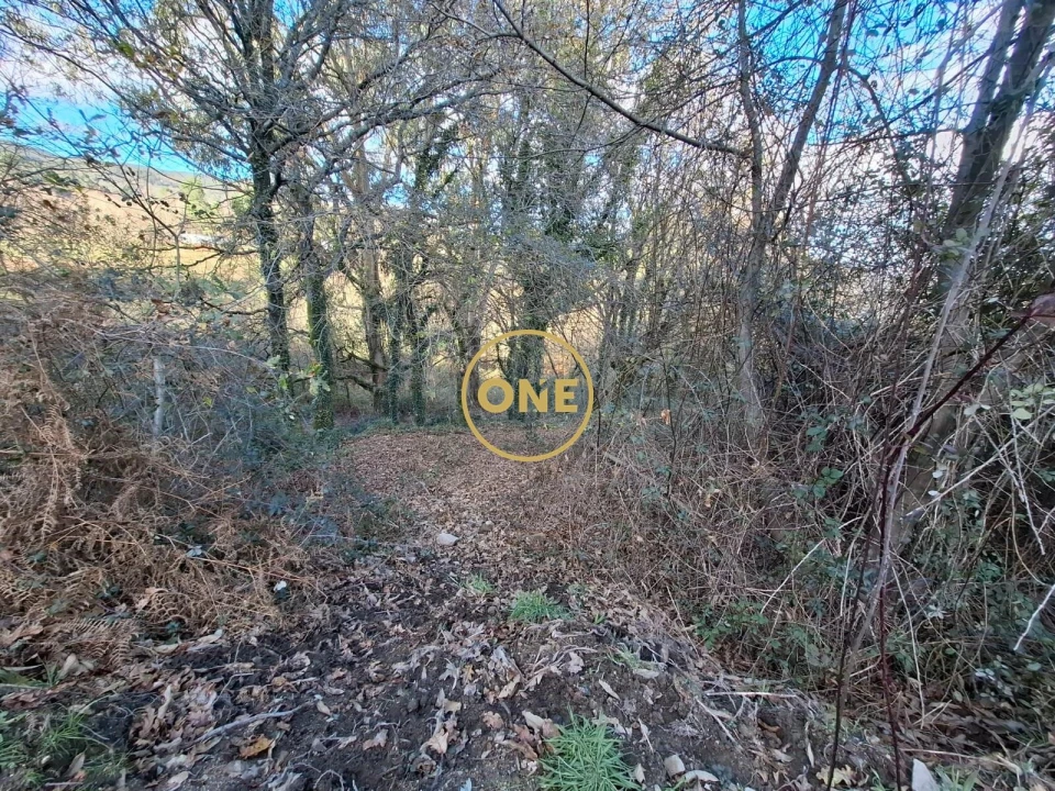 Terreno para Venda em Valbom (São Pedro), Passô e Valbom (São Martinho) Foto 12