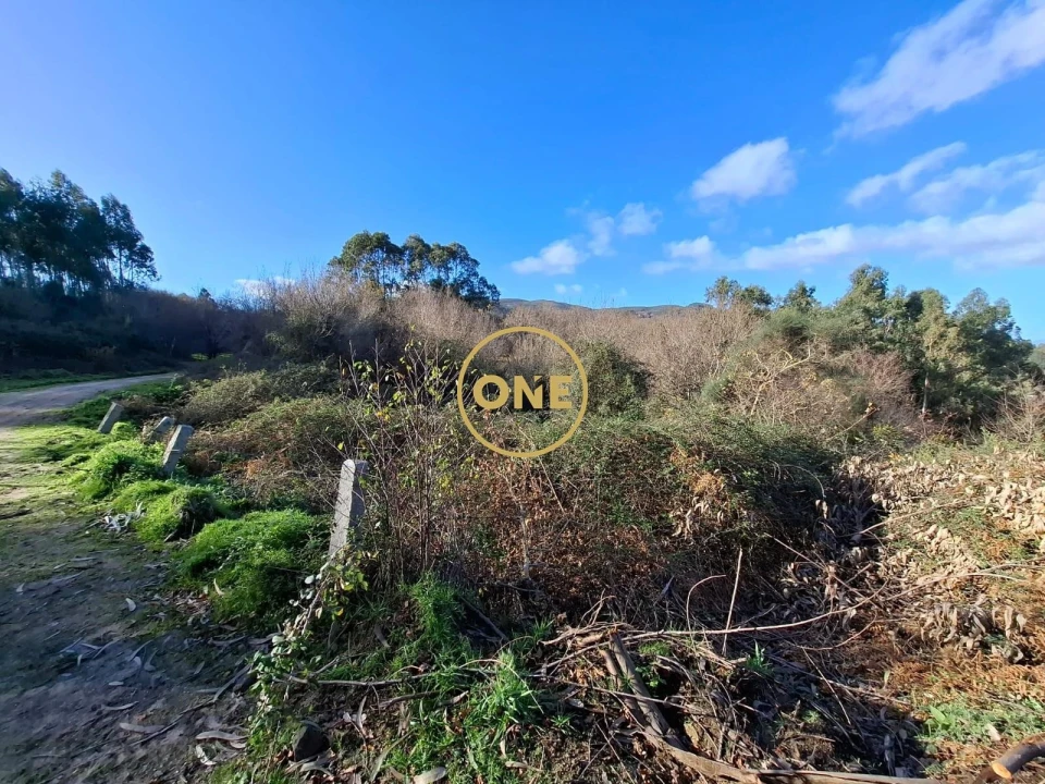 Terreno para Venda em Valbom (São Pedro), Passô e Valbom (São Martinho) Foto 6