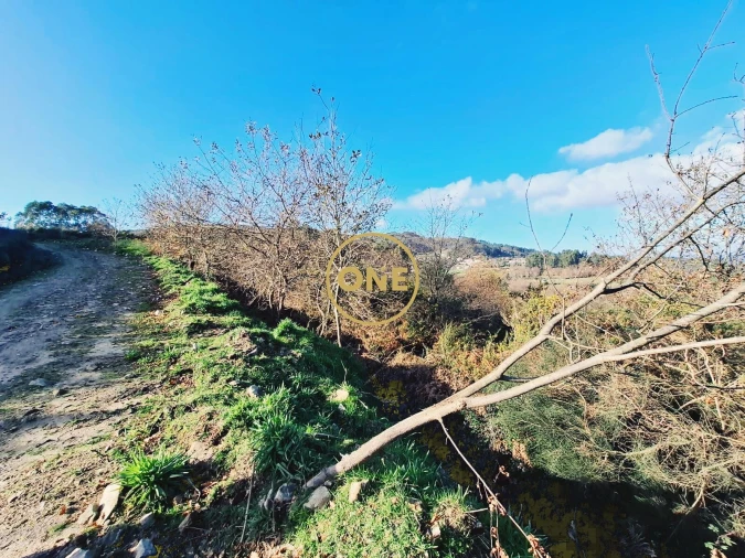 Terreno para Venda em Valbom (São Pedro), Passô e Valbom (São Martinho) Foto 2