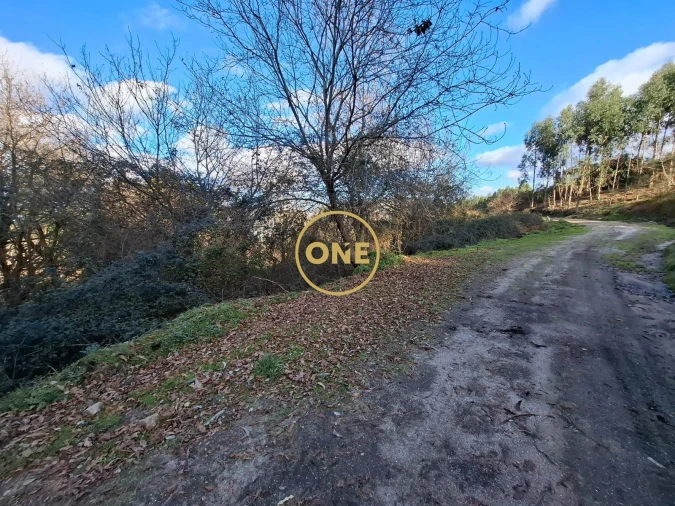 Terreno para Venda em Valbom (São Pedro), Passô e Valbom (São Martinho) Foto 11