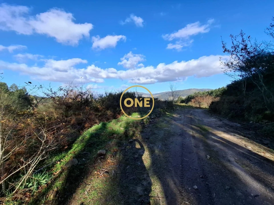 Terreno para Venda em Valbom (São Pedro), Passô e Valbom (São Martinho) Foto 5