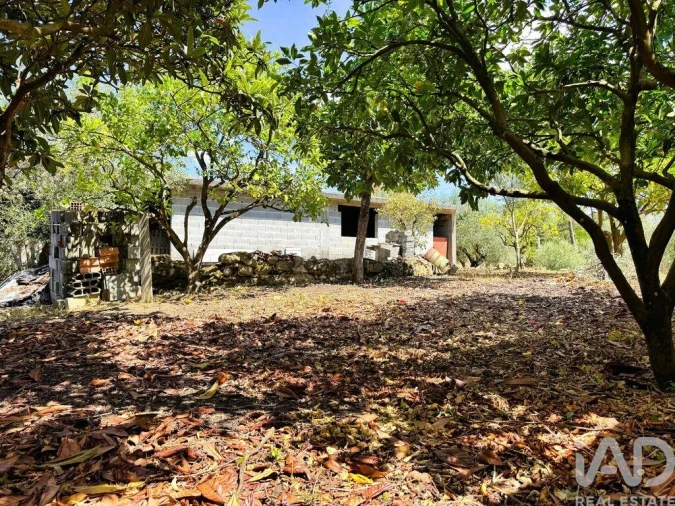 Moradia T4 para Venda em Pombal Foto 30