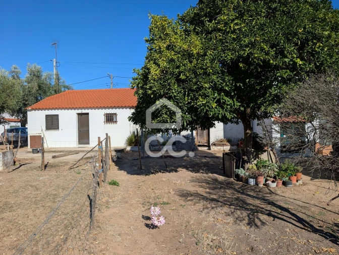 Moradia T1 para Venda em Pego Foto 6