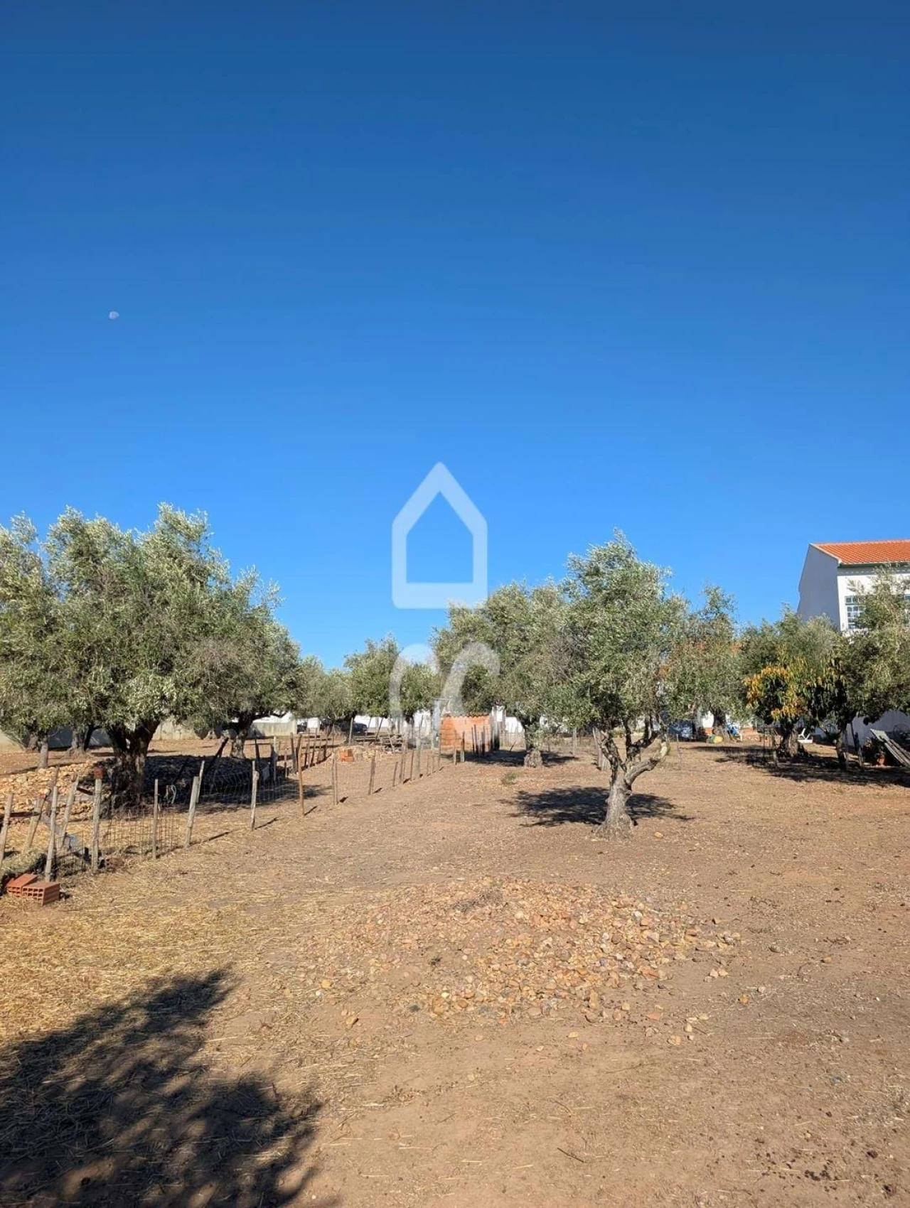 Moradia T1 para Venda em Pego Foto 9