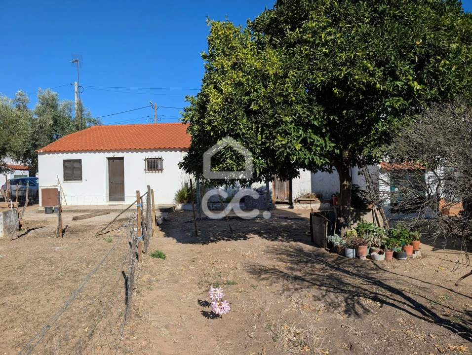 Moradia T1 para Venda em Pego Foto 6