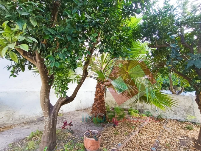 Moradia T2 para Venda em Pinhal Novo Foto 11