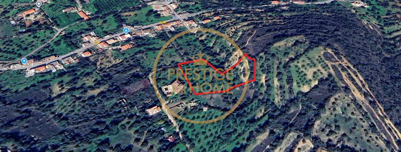 Terreno para Venda em Loule (São Sebastião) Foto 4