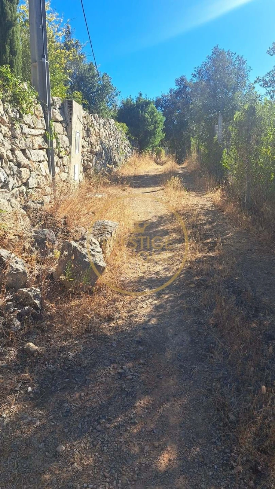 Terreno para Venda em Loule (São Sebastião)