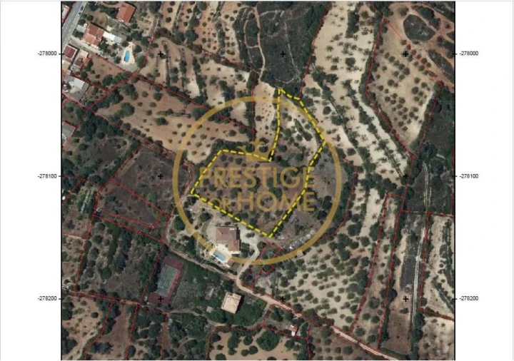 Terreno para Venda em Loule (São Sebastião) Foto 5