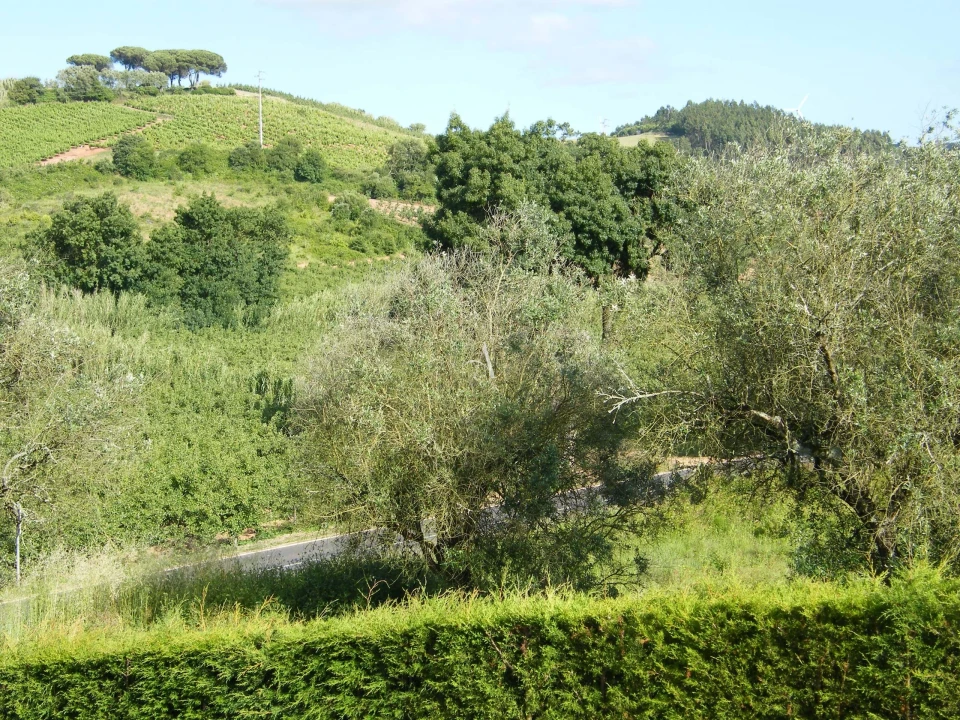 Moradia T4 para Venda em A dos Francos Foto 30