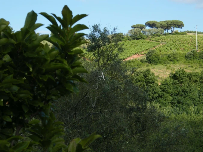 Moradia T4 para Venda em A dos Francos Foto 31