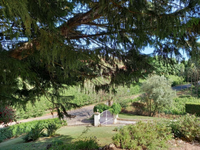 Moradia T4 para Venda em A dos Francos Foto 33