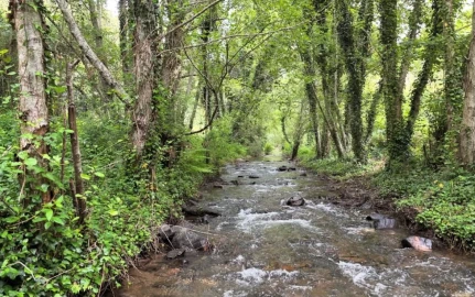 Moradia T3 para Venda em Aljezur
