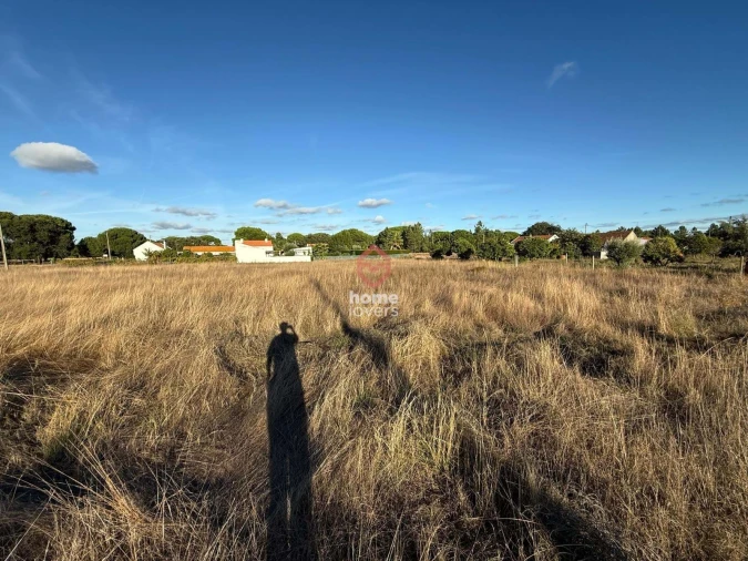 Terreno para Venda em Torrão Foto 4
