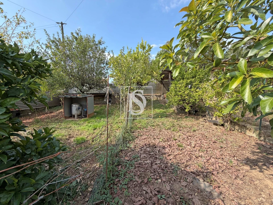 Moradia T3 para Venda em Freiriz Foto 39