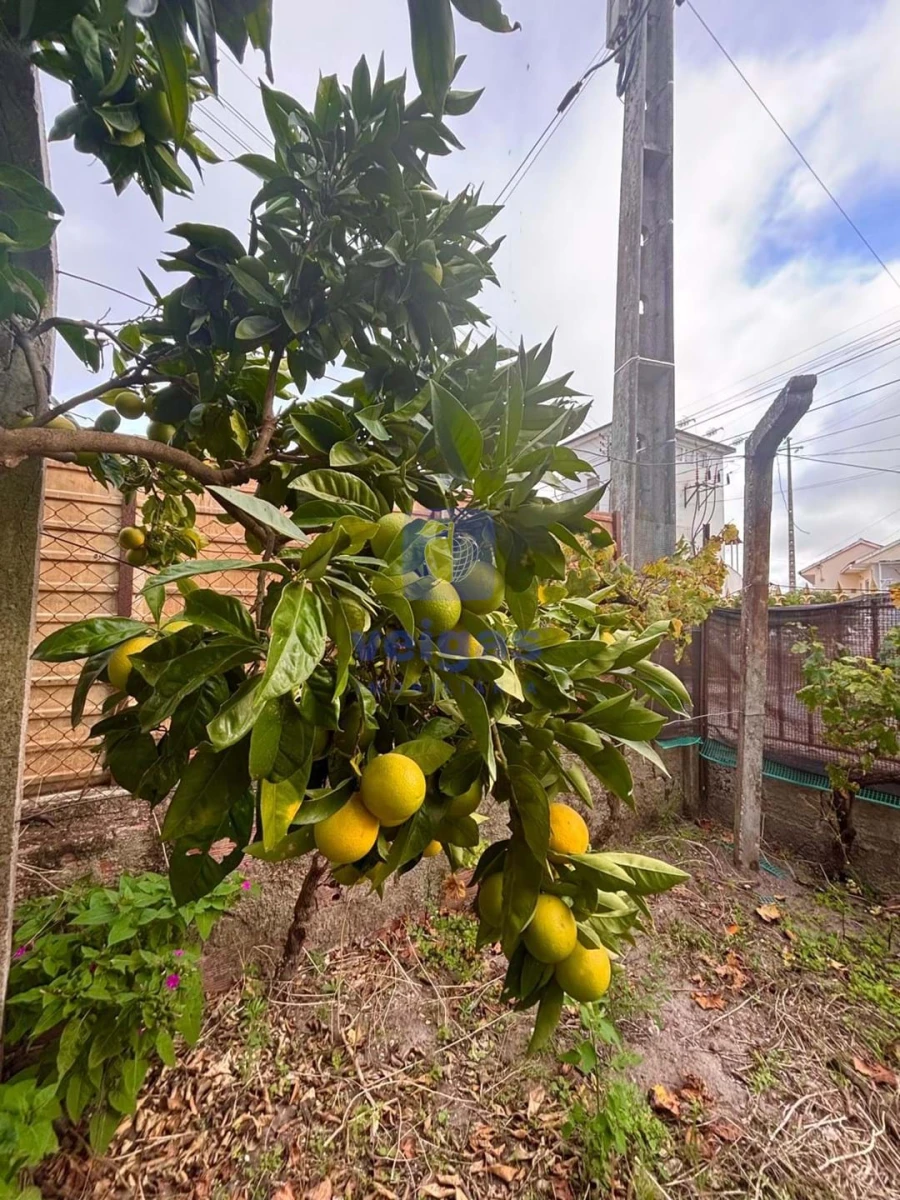 Moradia T2 para Venda em Caldas da Rainha - Santo Onofre e Serra do Bouro Foto 21