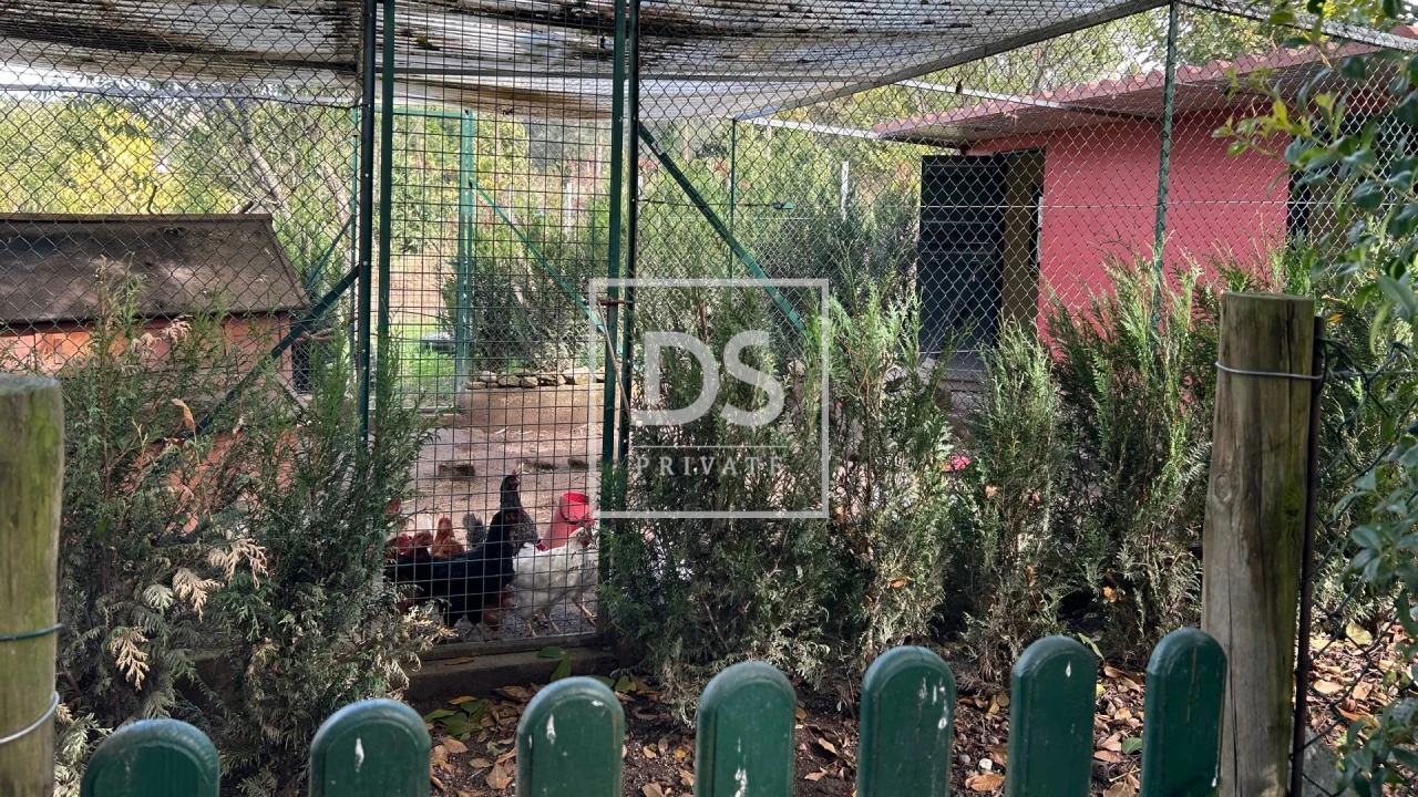 Quinta T3 para Venda em Cabeceiras de Basto Foto 16