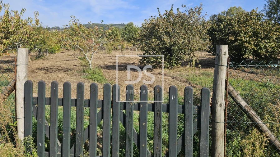 Quinta T3 para Venda em Cabeceiras de Basto Foto 14