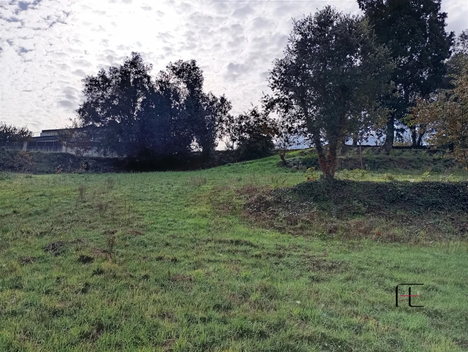 Terreno Agricola ou Rústico para Venda em Recardães e Espinhel Foto 4
