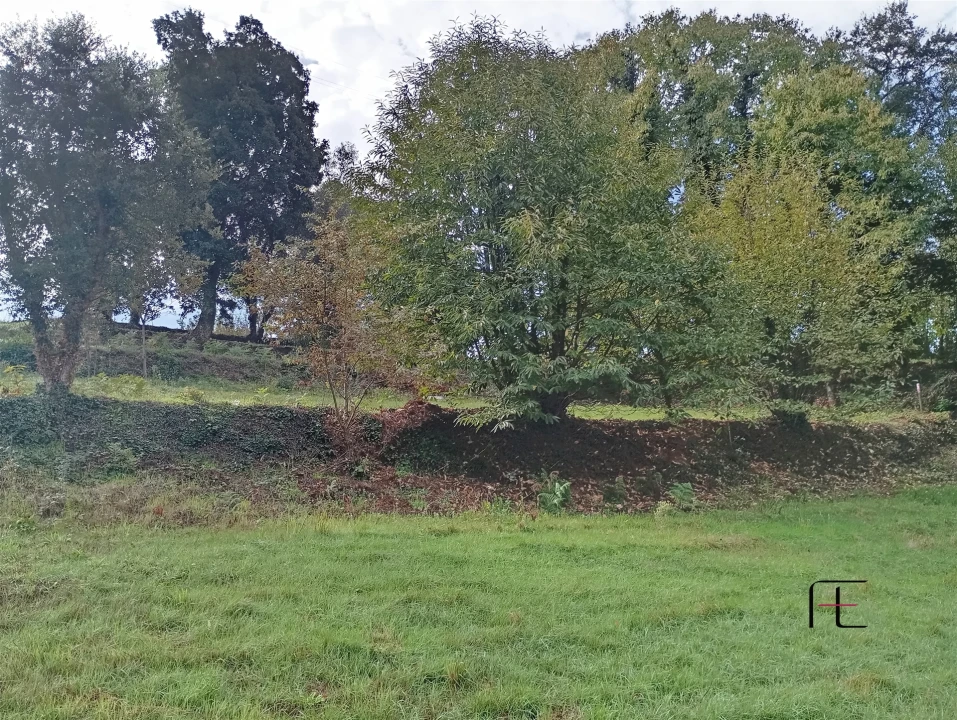 Terreno Agricola ou Rústico para Venda em Recardães e Espinhel Foto 3