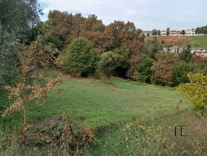 Terreno Agricola ou Rústico para Venda em Recardães e Espinhel Foto 2