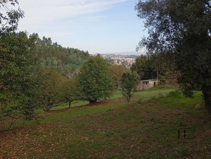 Terreno Agricola ou Rústico para Venda em Recardães e Espinhel Foto 7
