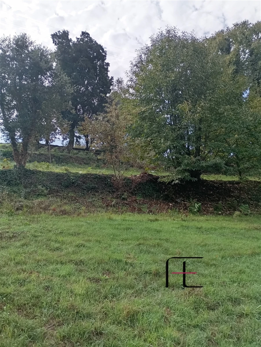Terreno Agricola ou Rústico para Venda em Recardães e Espinhel Foto 6