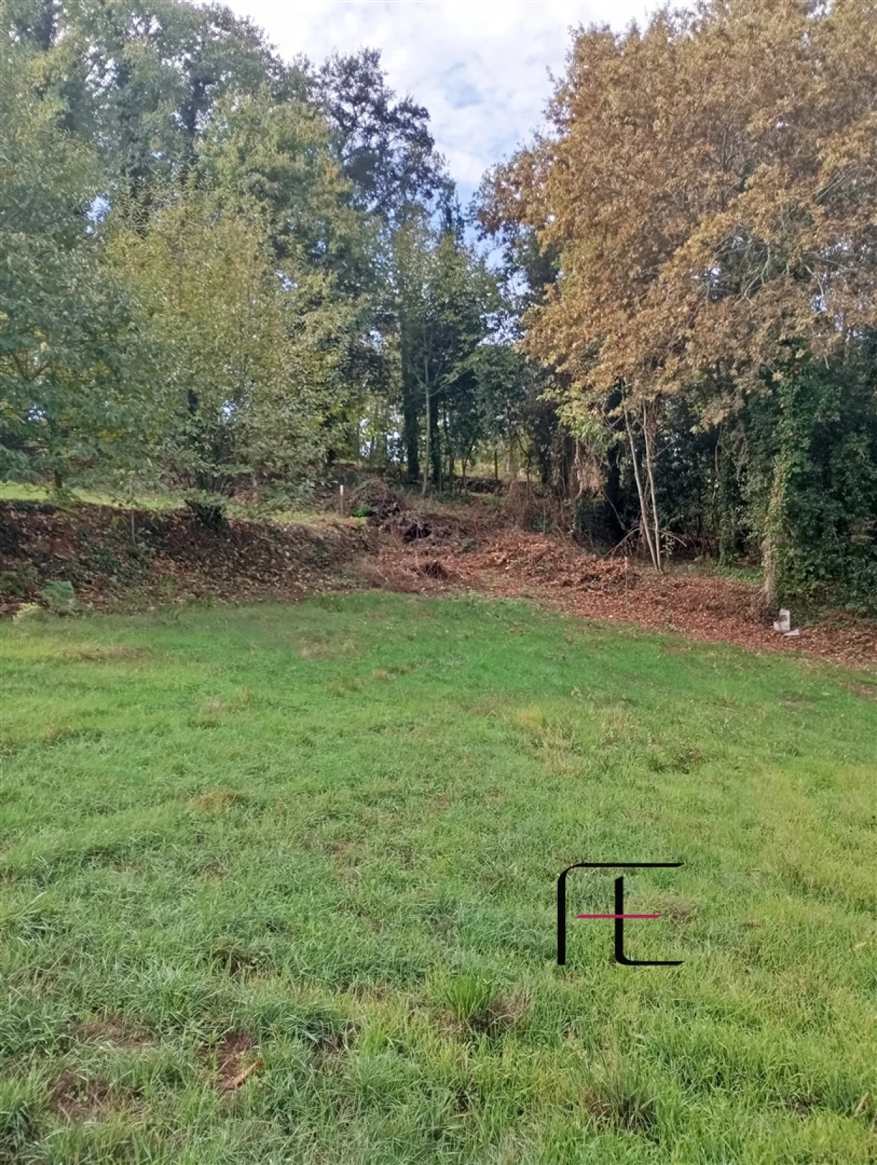 Terreno Agricola ou Rústico para Venda em Recardães e Espinhel Foto 5